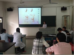 解剖與胚學(xué)基礎(chǔ)知識(shí)