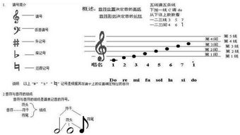 音樂基礎(chǔ)知識初級怎樣識譜