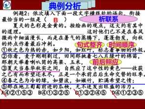 銜接,語句,基礎(chǔ)知識,排序