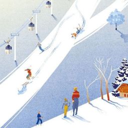 滑雪運動基礎(chǔ)知識