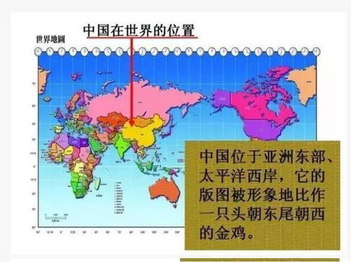 基礎(chǔ)知識,地理,初中