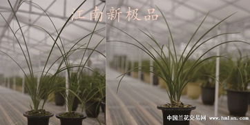 有機肥無機肥基礎知識