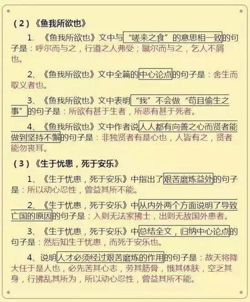 初中語文基礎(chǔ)知識回顧