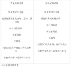 健身基礎理論知識講解