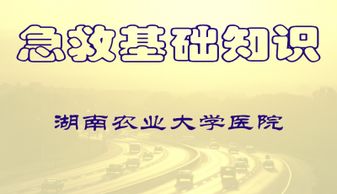 急救護理基礎知識匯總