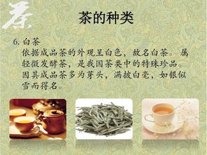 中國茶的基礎(chǔ)知識