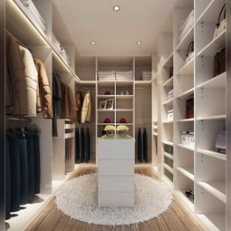 衣帽間家裝基礎(chǔ)知識