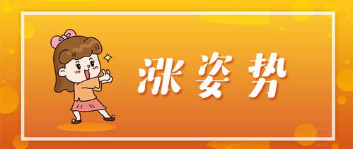 考輔警文化基礎(chǔ)知識