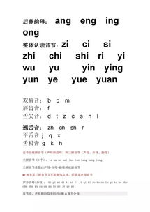 人教版語(yǔ)文拼音基礎(chǔ)知識(shí)