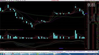 股市基礎(chǔ)知識(shí)講解