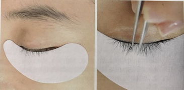 睫毛嫁接基礎(chǔ)知識