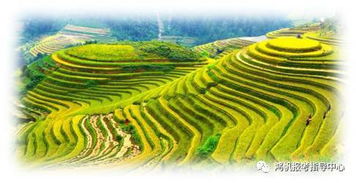 農林經濟管理基礎知識