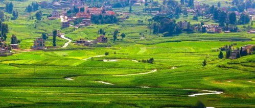 新疆阿勒泰綜合基礎(chǔ)知識