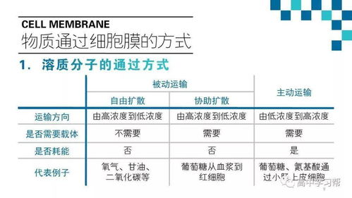 基礎知識,生物,醫(yī)學