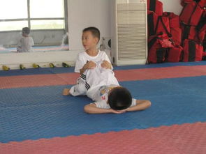 跆拳道的基礎(chǔ)知識,跆拳道基礎(chǔ)知識問答,跆拳道基礎(chǔ)知識教學(xué)