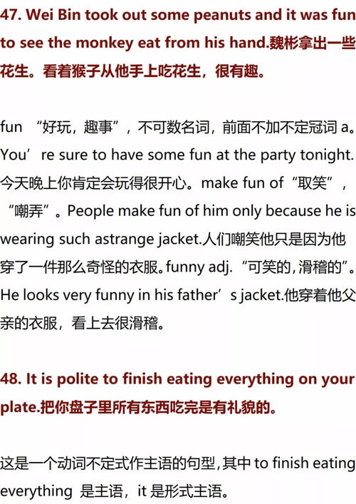 基礎(chǔ)知識,英語語法,高中,大全