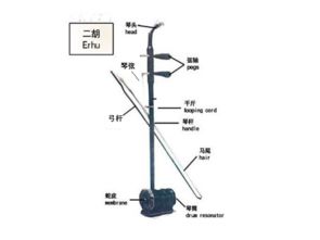 高音二胡基礎知識