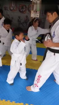 跆拳道,基礎(chǔ)知識,訓(xùn)練,有哪些