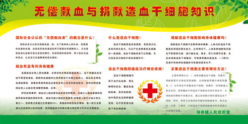 血干細(xì)胞基礎(chǔ)知識(shí)