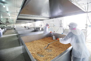 農(nóng)產(chǎn)品加工業(yè)基礎(chǔ)知識(shí)