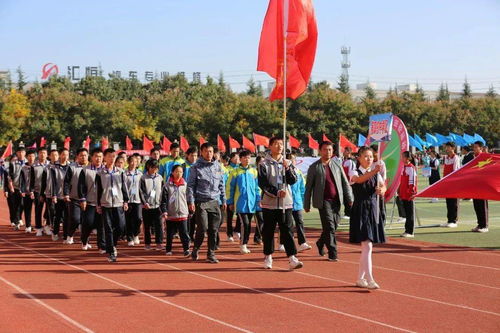 隊(duì)的基礎(chǔ)知識四