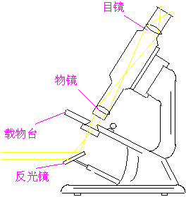 放大鏡基礎(chǔ)知識(shí)
