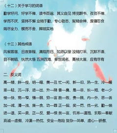 基礎知識,小學生