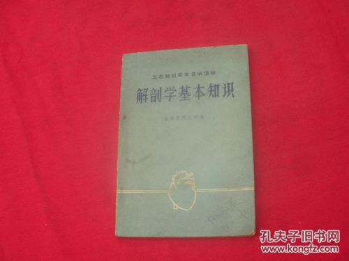 解剖基礎(chǔ)知識是什么