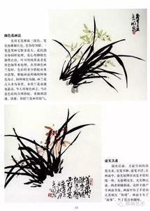 中國畫基礎知識教案,中國畫基礎知識及技能,中國畫基礎知識ppt