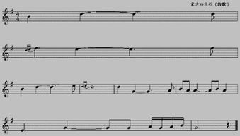 線譜,基礎(chǔ)知識,入門,曲胡五