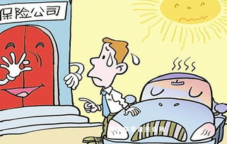 2019車險(xiǎn)基礎(chǔ)知識(shí)整理