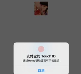 智能手機(jī)基礎(chǔ)知識