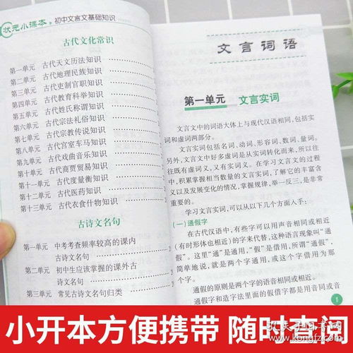 初中基礎(chǔ)知識必備答案