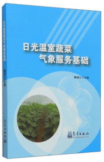 基礎(chǔ)知識,氣象,服務