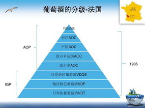 看是基礎(chǔ)知識(shí)