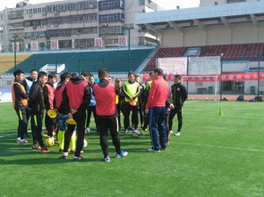 足球教練員培訓心得體會,江蘇省足球教練員培訓,足球c級教練員培訓