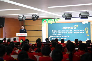 依法稅法基礎(chǔ)知識