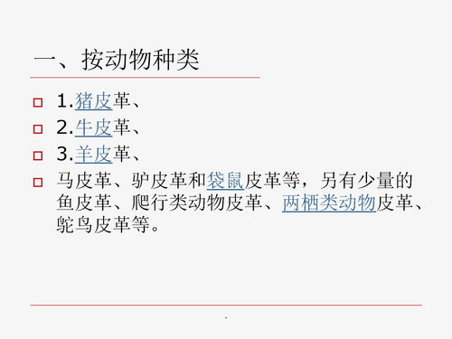 皮子的基礎(chǔ)知識