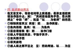 語(yǔ)文基礎(chǔ)知識(shí)詞類(lèi)教案