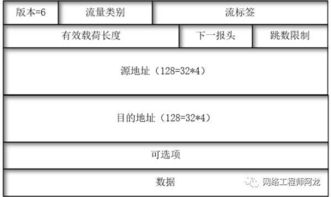基礎(chǔ)知識(shí),考試,ipv6