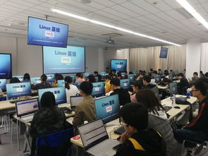 基礎(chǔ)知識(shí),科研,培訓(xùn)