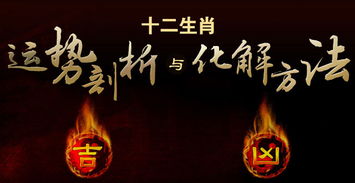 包雙龍八字基礎(chǔ)知識