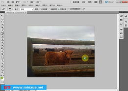 基礎知識,教程,pscs5