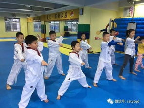 跆拳道考試基礎(chǔ)知識(shí)