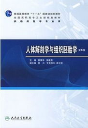 人體解剖學(xué)與組織胚胎學(xué)基礎(chǔ)知識(shí)點(diǎn)