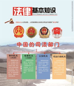 法律基礎(chǔ)知識簡報(bào)