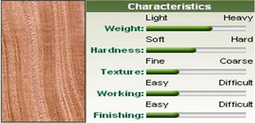 攝影入門基礎(chǔ)知識a門