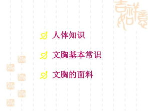 基礎(chǔ)知識(shí),內(nèi)衣,ppt