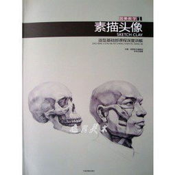 素描的基礎(chǔ)知識(shí)的書(shū)籍推薦