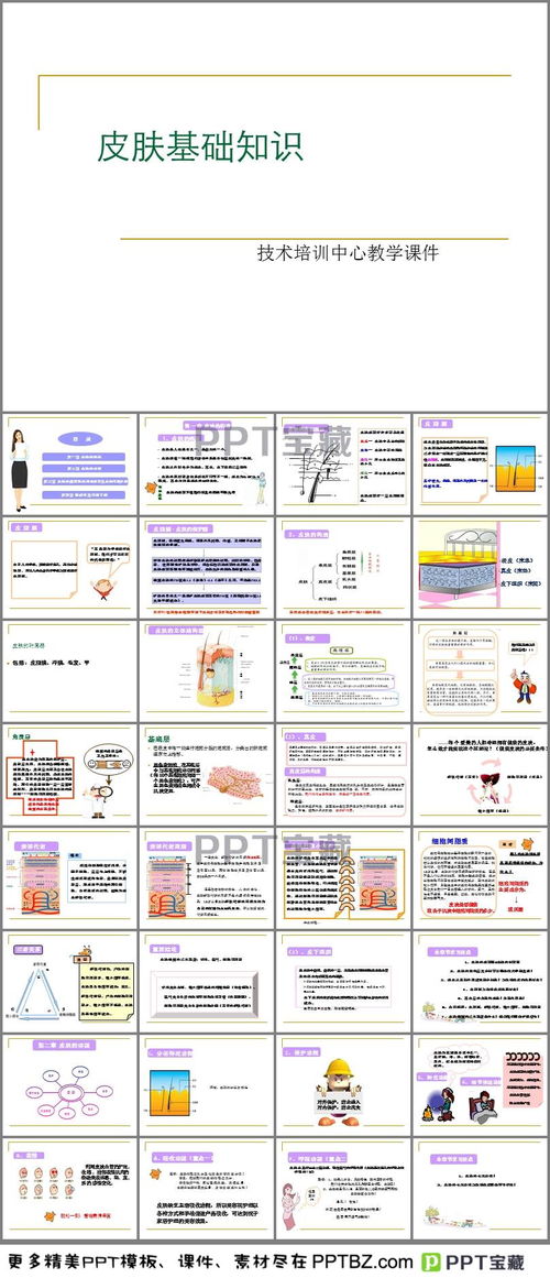 皮膚基礎(chǔ)知識培訓(xùn)教材6